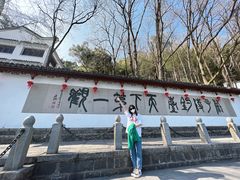 -严子陵钓台(富春江小三峡)