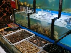 水产区-老东镇啤酒屋海鲜加工·蒸汽海鲜·海鲜烧烤(台东店)