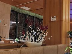 -现代华天大酒店海鲜自助餐(芙蓉南路店)