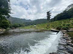 -广州市石门国家森林公园