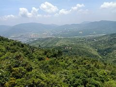 -亚龙湾热带天堂森林公园