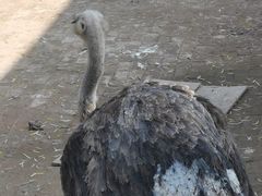 -祥源·阜阳生态乐园