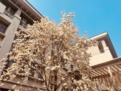 -沈家门小海鲜