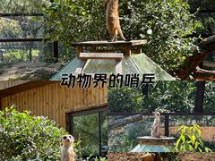 -沈阳森林动物园