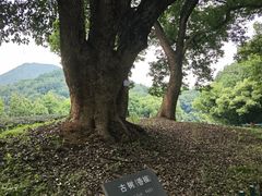 -西湖风景区十里琅珰-五云山