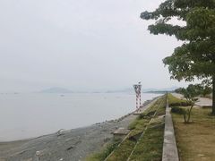 -海鸥岛