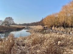 -苏州太湖湖滨国家湿地公园