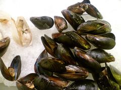 贝壳-华凯华美达广场酒店自助餐厅