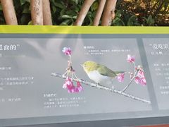 -云溪植物园