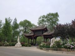 -石家庄市植物园
