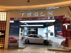 -TESLA 特斯拉(郑州正弘城体验店)