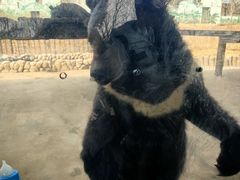 -南京金牛湖风景区