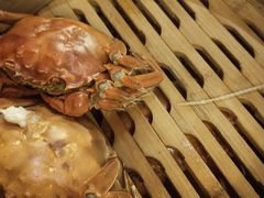 -旺顺阁海鲜广场(亚运村店)
