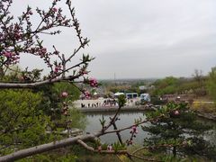 -北京西山国家森林公园