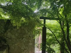 -宝界山林公园