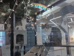 -弓舍射箭俱乐部(高新总店)