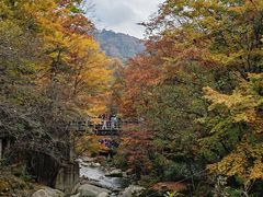 -光雾山旅游景区