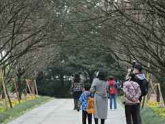 -南山植物园