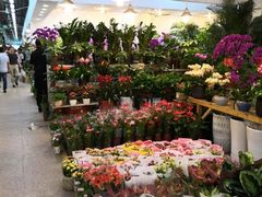 -双季花艺园艺市场(浦东店)
