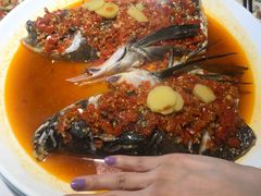 千岛湖鱼头-千岛湖小鱼儿·淳安匠心农家菜