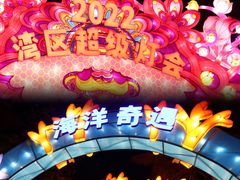 -欢乐海岸椰林沙滩-2025湾区超级灯会