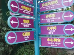 -灵玲国际马戏城