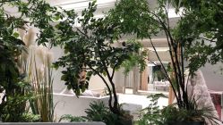 -MuseMarry婚纱(前海嘉里中心店)