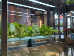 -番食园鲜食火锅(高新店)