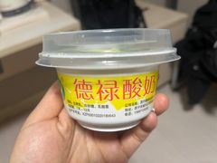 -德禄酸奶(莫家街店)
