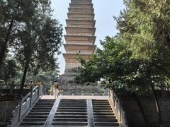 -洛阳白马寺