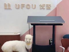 -红星美凯龙北京至尊MALL(东四环中路店)