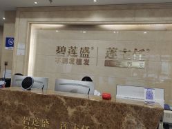 -碧莲盛·不剃发植发