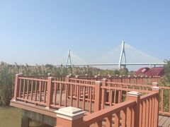 -芒洲湿地公园