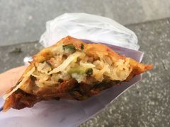-半月镰胡姐脆皮萝卜饺子
