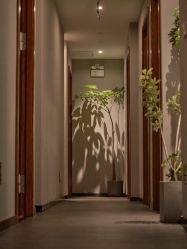 -芳香乐府SPA·五行芳疗