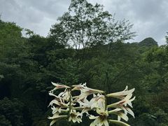 -黄龙溪欢乐田园
