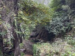 -大岭沟猕猴桃谷风景区