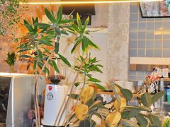 -腾爱熊猫咖啡生活馆(老东门店)