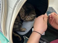 -美联众合动物医院·24h京西诊疗中心