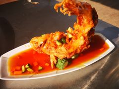 糖醋虹鳟鱼-青龙潭鱼庄