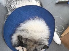 -联合动物医院(光谷诊疗中心)