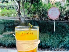 热情茉莉-Wagas沃歌斯(大学路店)