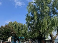 -九华山公园