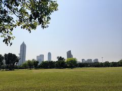 -万绿园