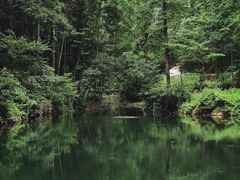 -素山寺森林公园