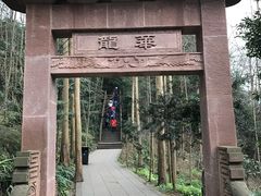 -凤栖山