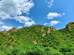 -大岭沟猕猴桃谷风景区