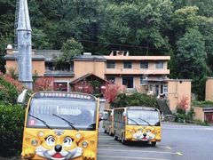 -栾川竹海野生动物园