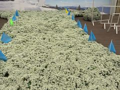 -保尔卓美园艺有限公司