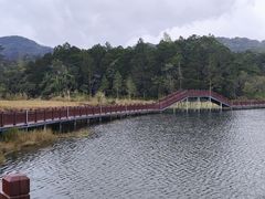 -海南热带雨林国家公园吊罗山景区
